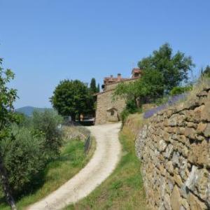 Agriturismo Podere Querceto Bed & Breakfast Borselli Exterior photo